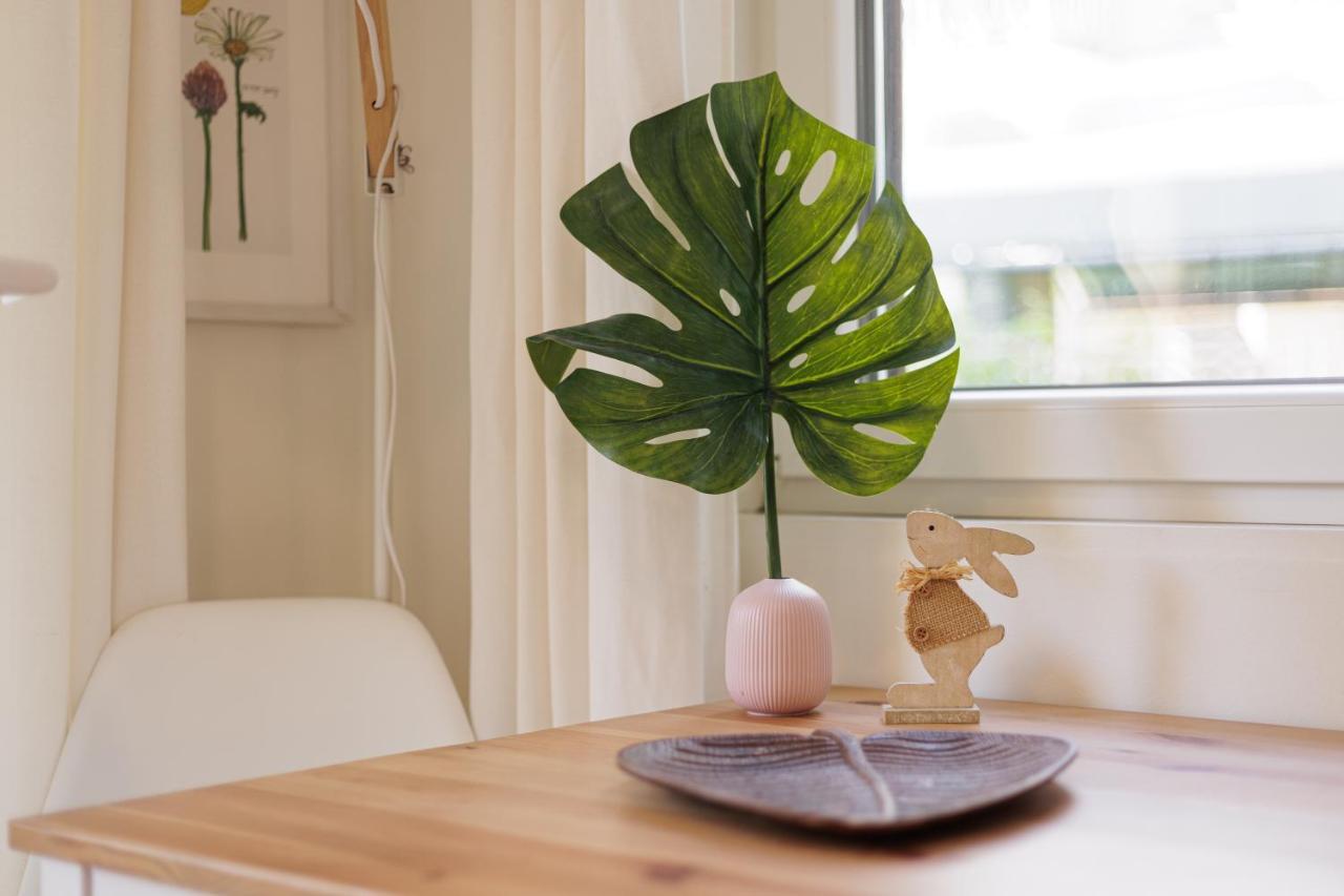 Aloe Apartments Corfu  Εξωτερικό φωτογραφία