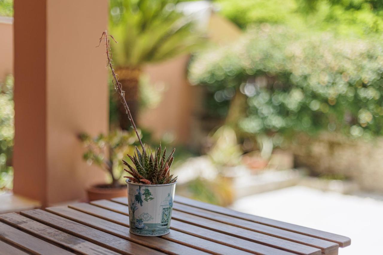 Aloe Apartments Corfu  Εξωτερικό φωτογραφία